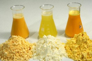 Egg Yolk Powder