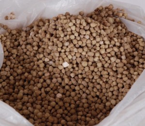 Diammonium Phosphate
