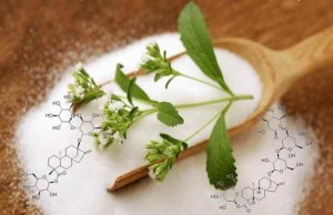 Stevia